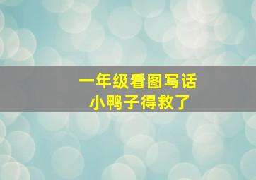 一年级看图写话 小鸭子得救了